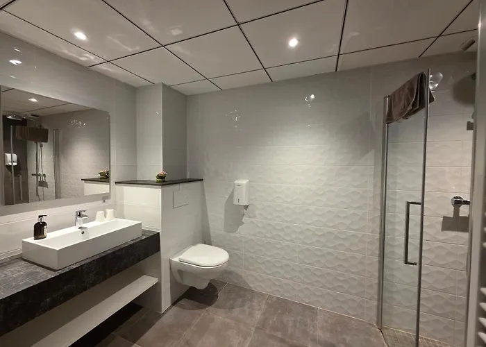 Logis Restaurant Le Grand Turc 3* LʼOie