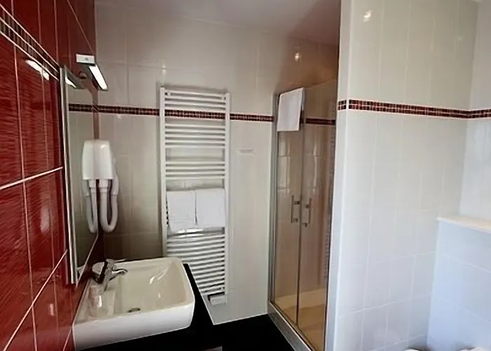 Logis Restaurant Le Grand Turc 3* LʼOie